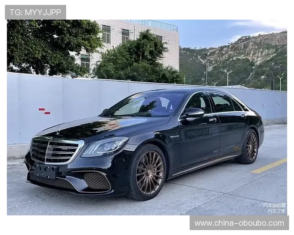 欧博二代D豪华版外观设计大气时尚，彰显尊贵身份，尽显奢华品味