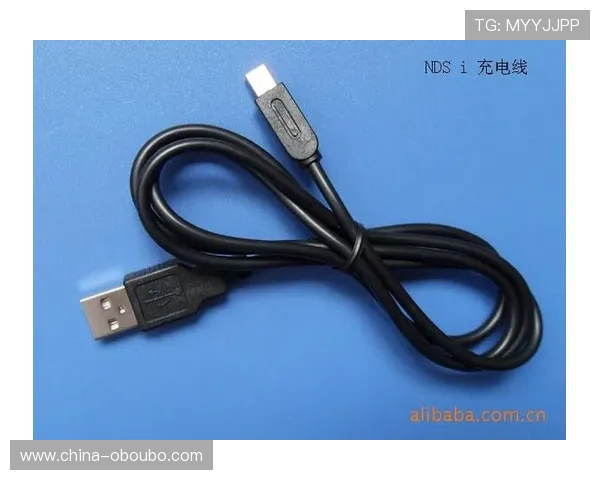 掌握欧博代理平台官网入口查询网址的方法与步骤，确保顺利登录