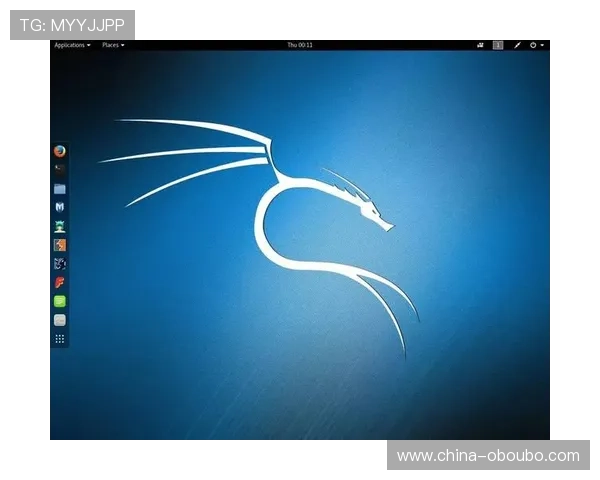 欧博官方网站如何确保玩家资金安全与隐私保护