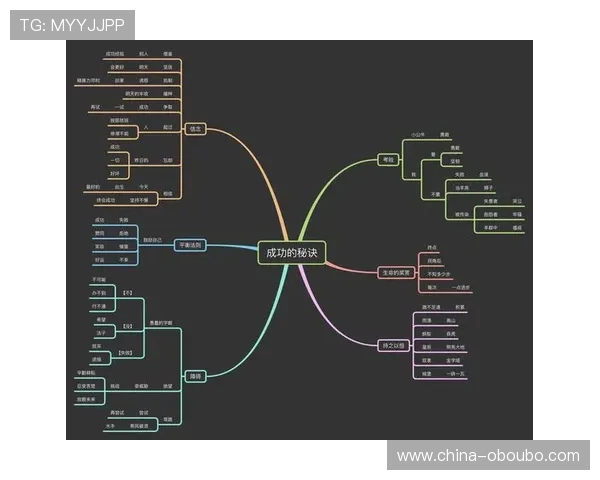 欧博游戏公司发展历程与未来战略规划深度剖析行业领先者的成功秘诀