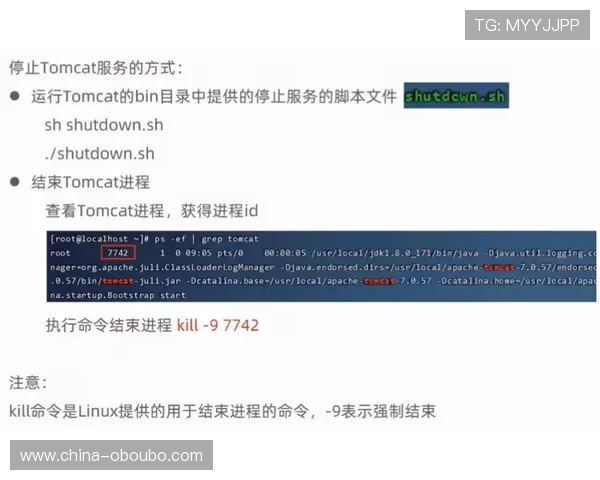 欧博直营官网：用户评价与真实体验分享，助你了解平台的真实服务水平