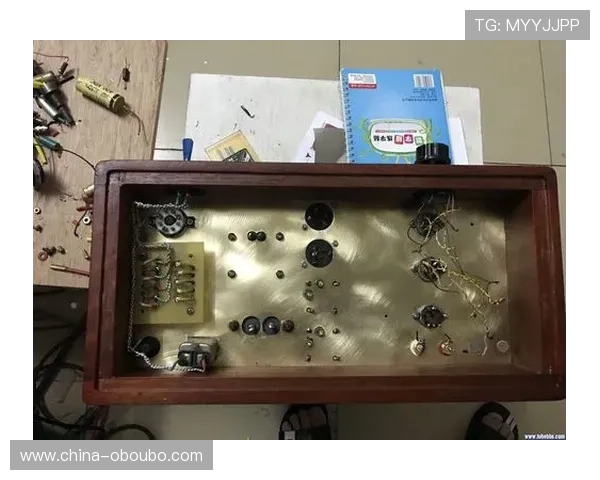 欧博222胆前级的维护与保养方法，延长设备使用寿命的实用技巧